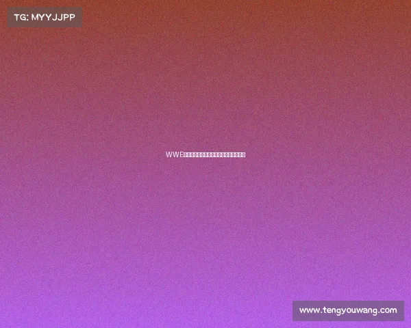 WWE赛事数量大揭秘全面解析其多个类别详情